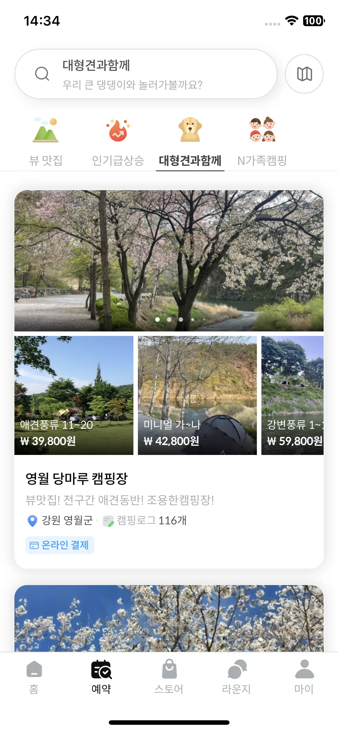 Test Image 8